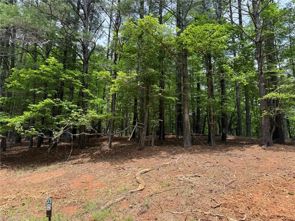 Lot 33 Jonathan Drive Lowgap, NC 27024