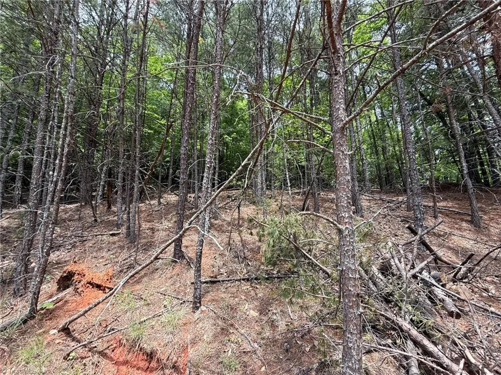 Lot 33 Jonathan Drive Lowgap, NC 27024