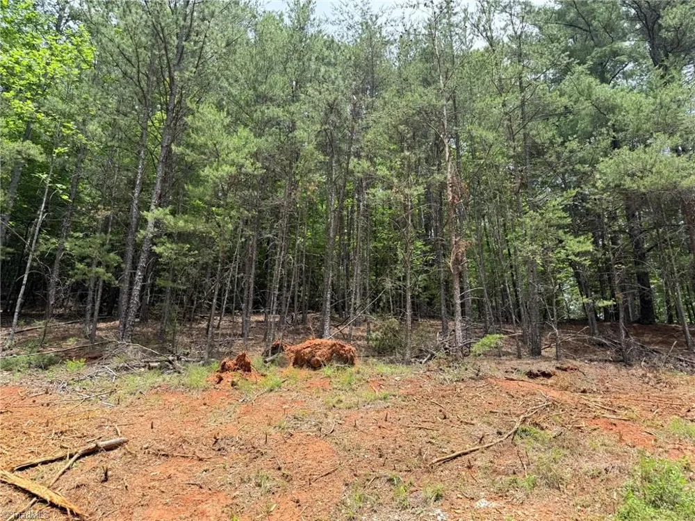 Lot 33 Jonathan Drive Lowgap, NC 27024