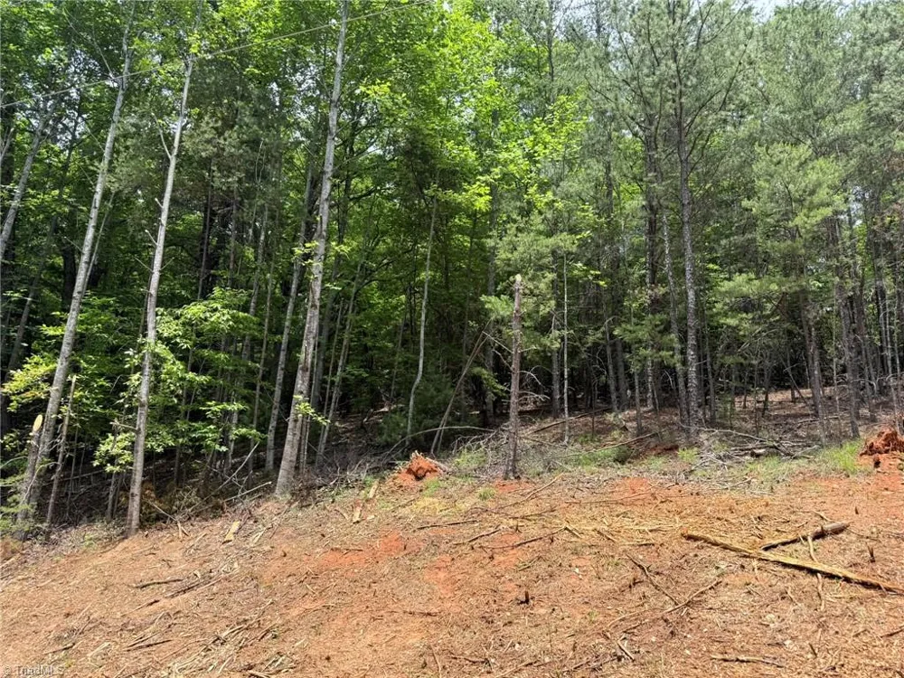 Lot 33 Jonathan Drive Lowgap, NC 27024