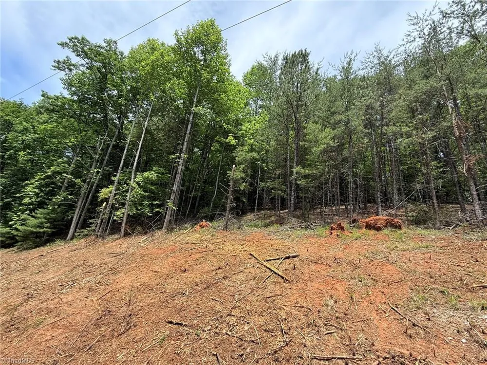 Lot 33 Jonathan Drive Lowgap, NC 27024