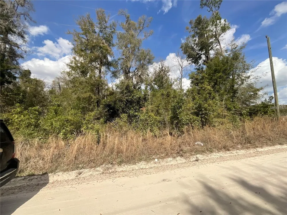 SW OLD SPANISH ROAD Fort White, FL 32038