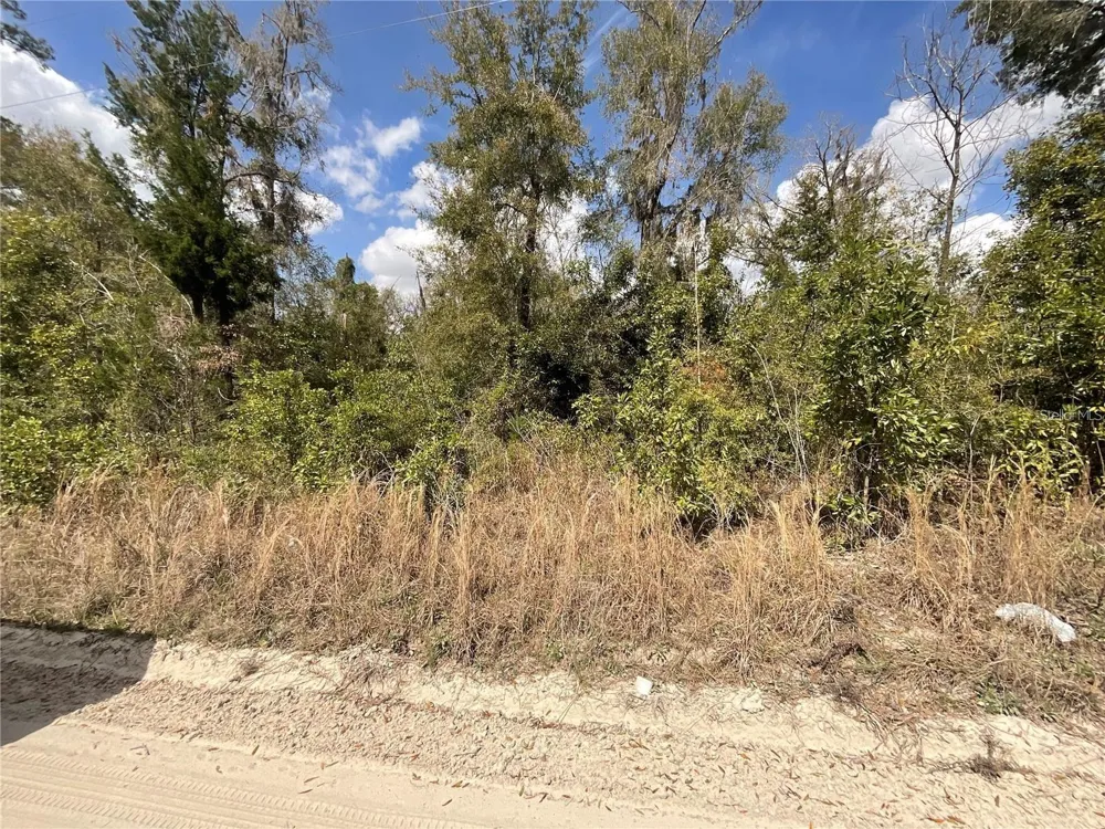 SW OLD SPANISH ROAD Fort White, FL 32038