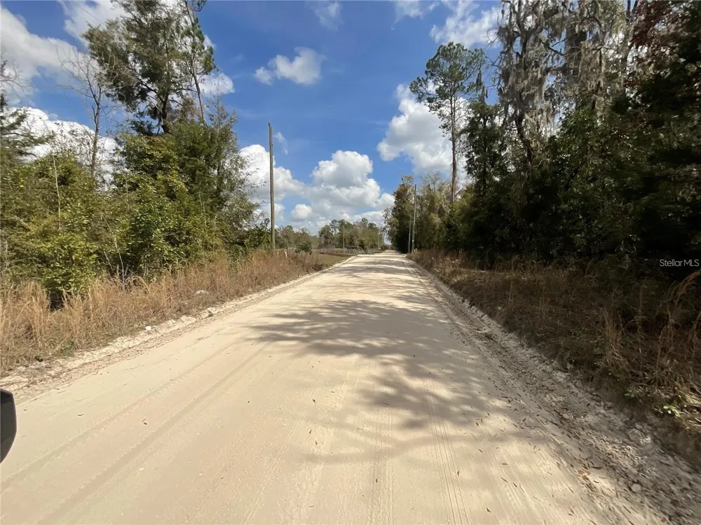 SW OLD SPANISH ROAD Fort White, FL 32038