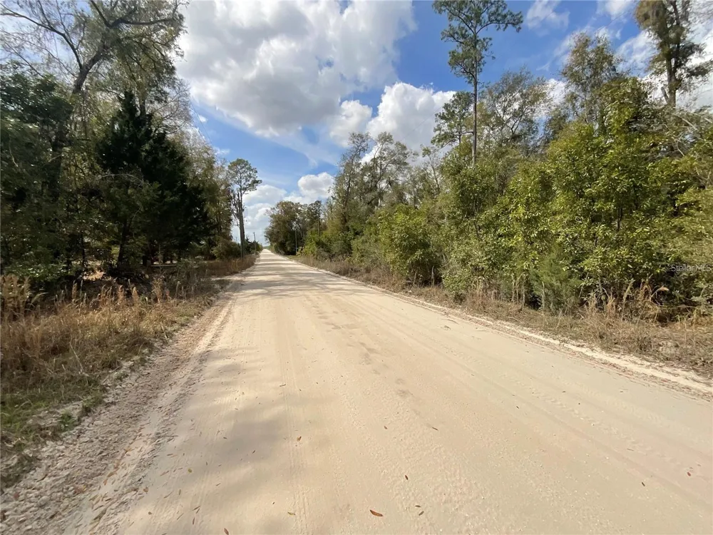 SW OLD SPANISH ROAD Fort White, FL 32038