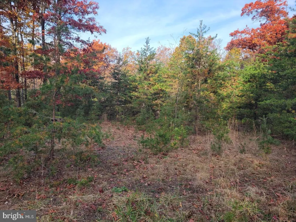 PARK ROAD Paw Paw, WV 25434