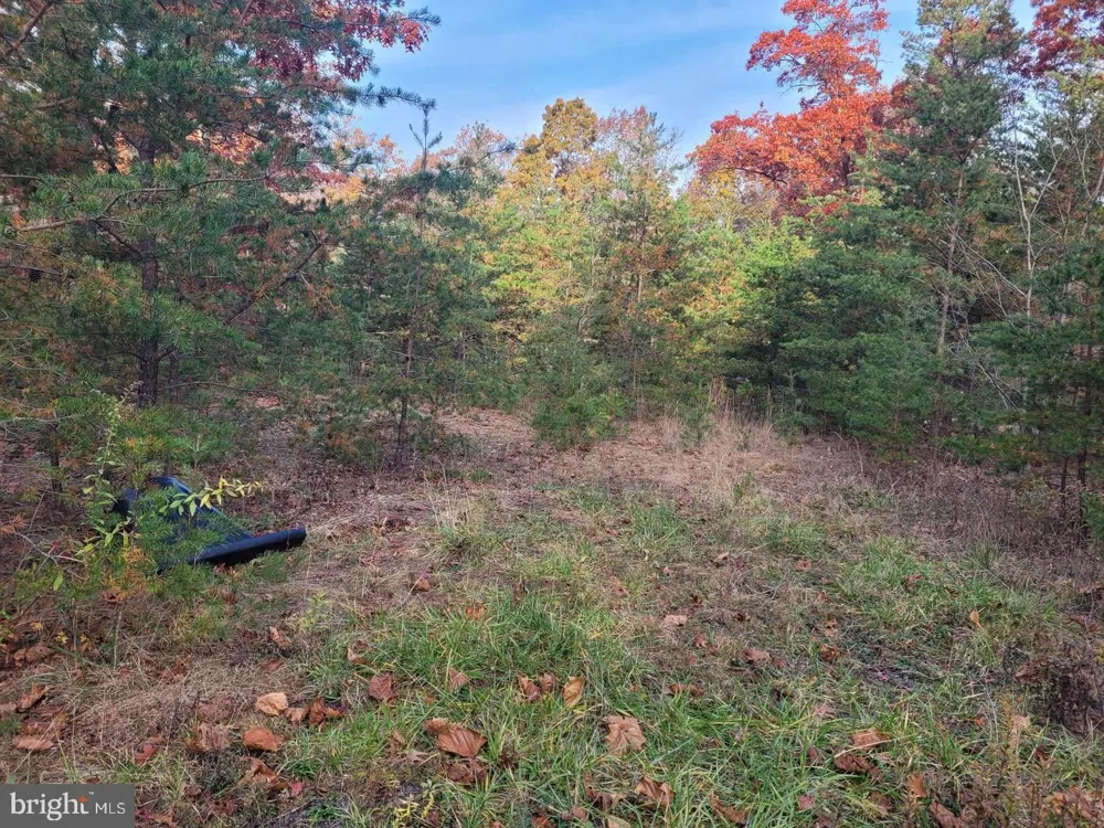 PARK ROAD Paw Paw, WV 25434