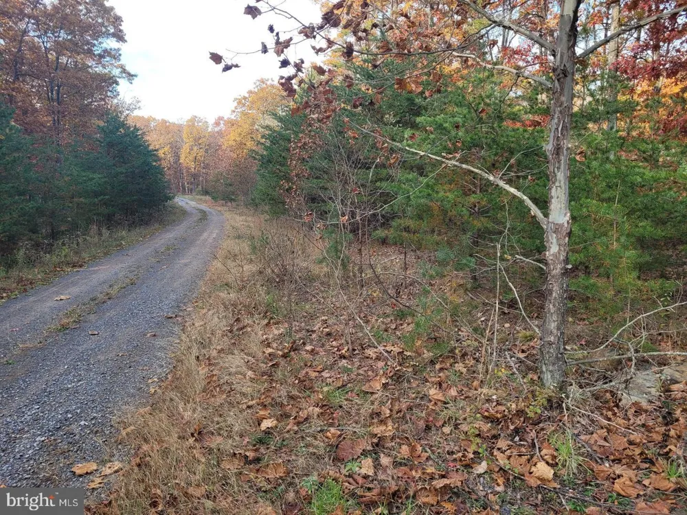 PARK ROAD Paw Paw, WV 25434