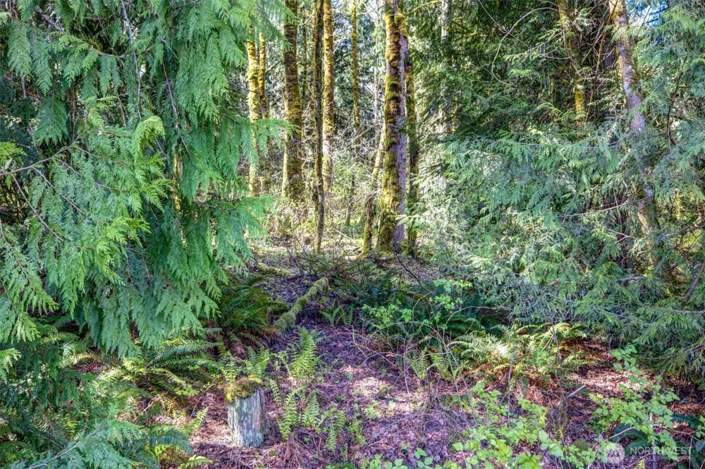 17512 260th Avenue SE Monroe, WA 98272