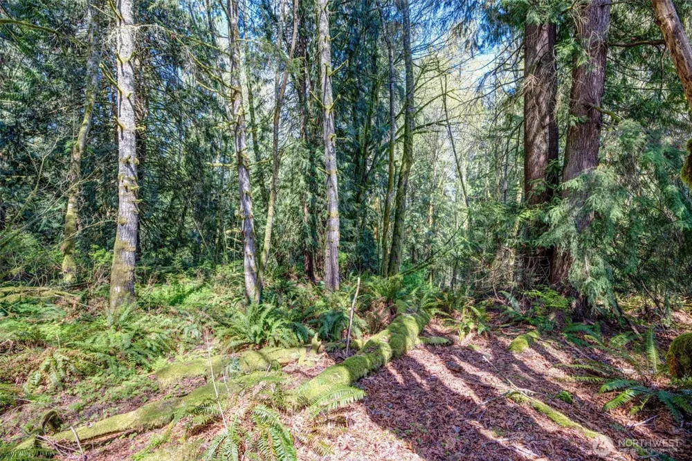 17512 260th Avenue SE Monroe, WA 98272