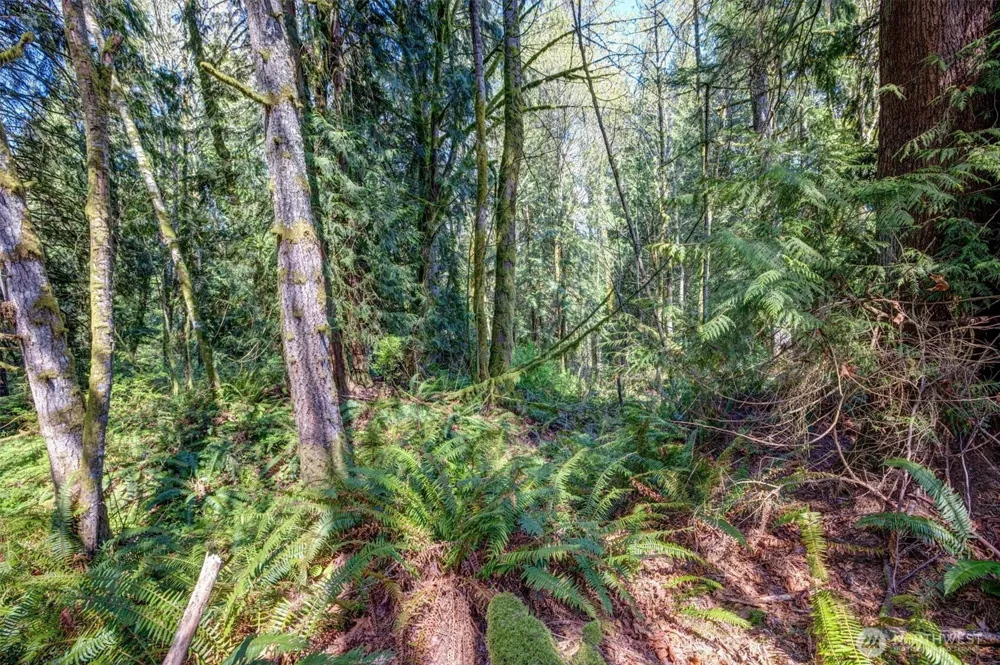 17512 260th Avenue SE Monroe, WA 98272