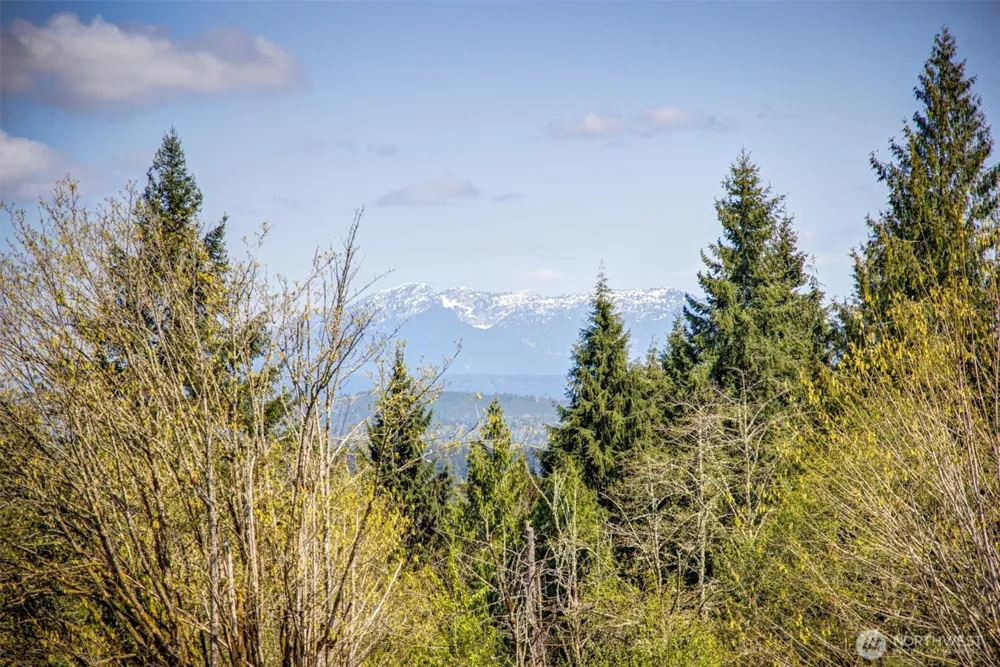 17512 260th Avenue SE Monroe, WA 98272