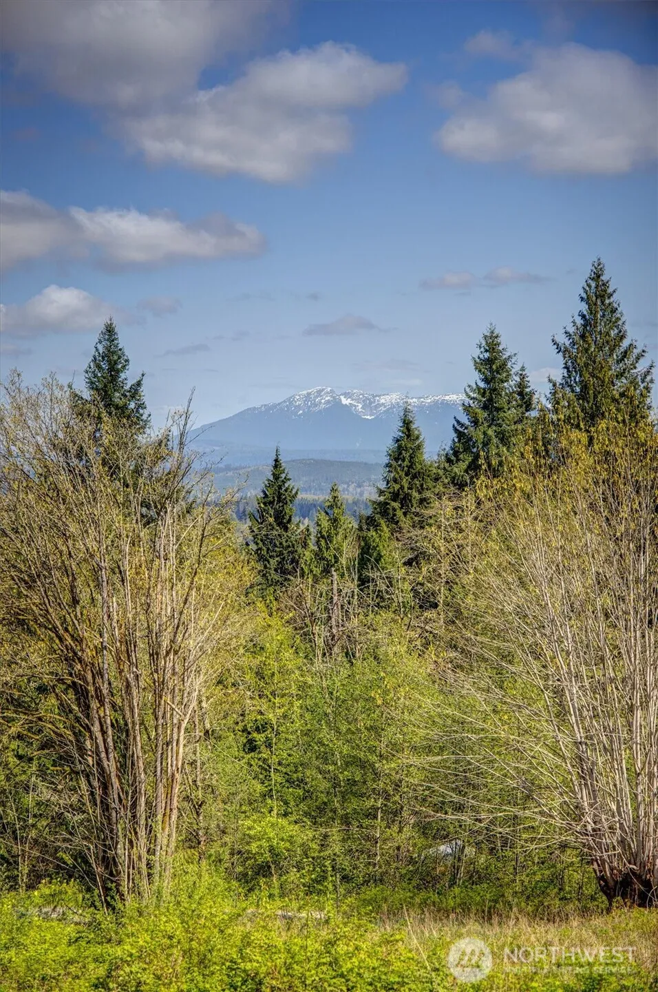 17512 260th Avenue SE Monroe, WA 98272