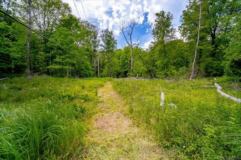 Jackson Corners Road Red Hook, NY 12571