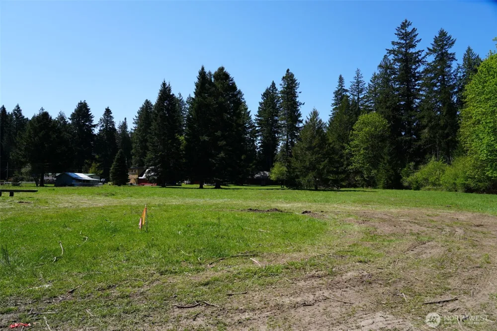 131 Campfire Lane Packwood, WA 98361