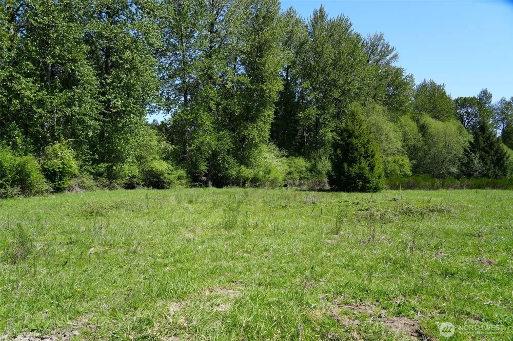 131 Campfire Lane Packwood, WA 98361