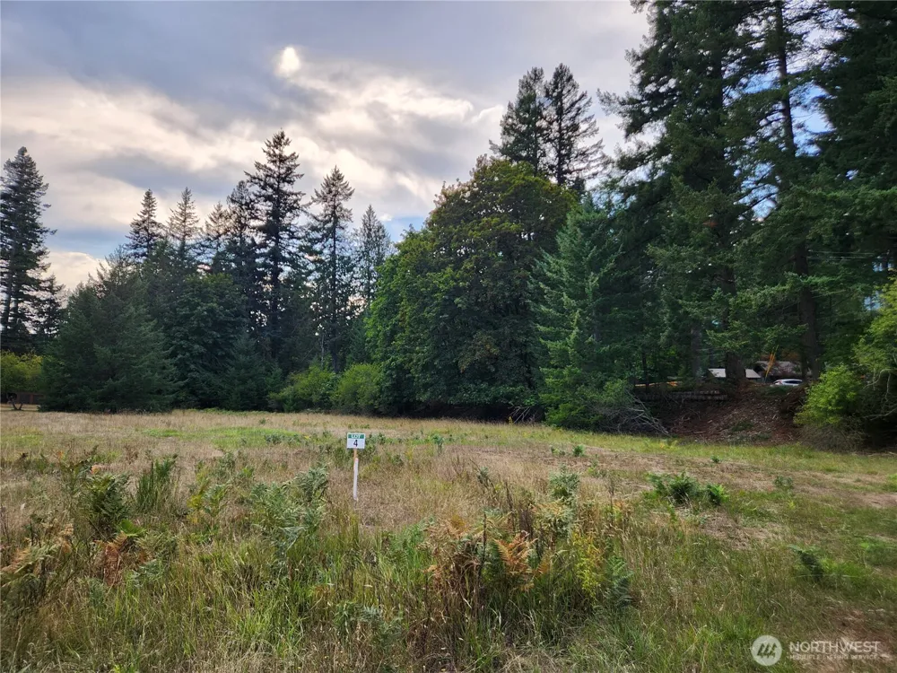 131 Campfire Lane Packwood, WA 98361