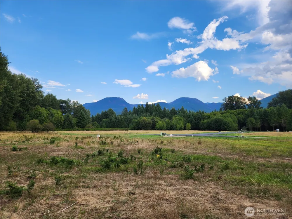 131 Campfire Lane Packwood, WA 98361