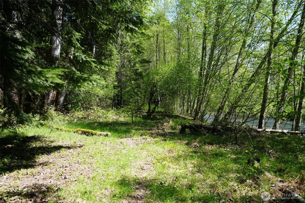 131 Campfire Lane Packwood, WA 98361