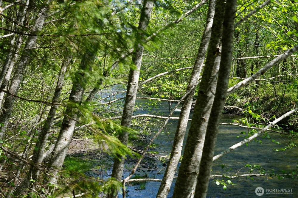 131 Campfire Lane Packwood, WA 98361