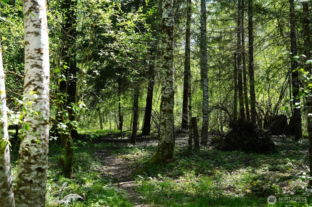 131 Campfire Lane Packwood, WA 98361