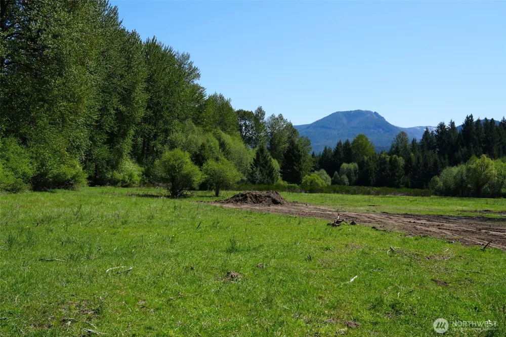131 Campfire Lane Packwood, WA 98361