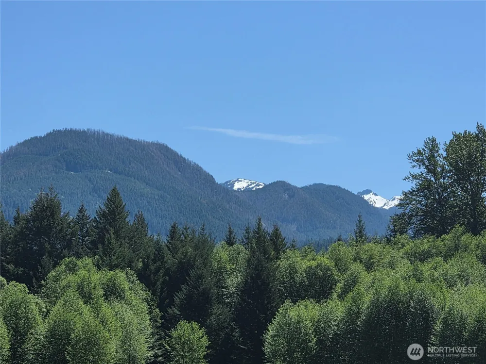 131 Campfire Lane Packwood, WA 98361