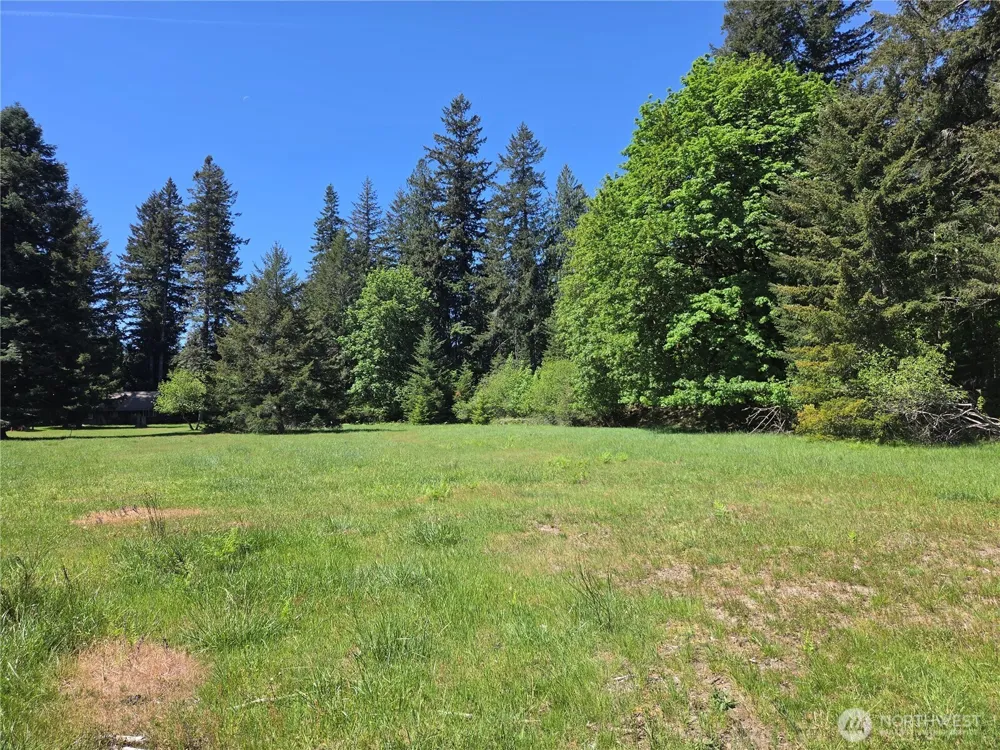 131 Campfire Lane Packwood, WA 98361