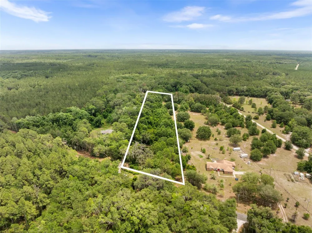 2919 SE COUNTY ROAD 234 Gainesville, FL 32641