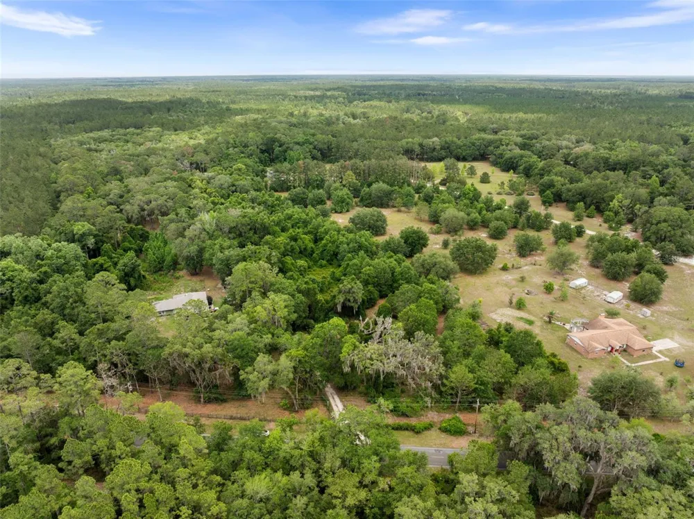 2919 SE COUNTY ROAD 234 Gainesville, FL 32641