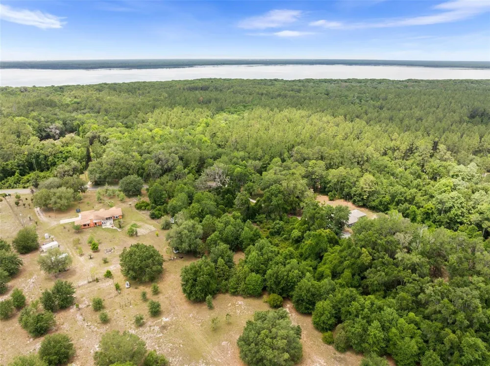 2919 SE COUNTY ROAD 234 Gainesville, FL 32641