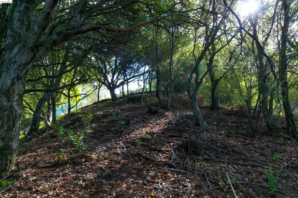 20 Lucille Way Orinda, CA 94563