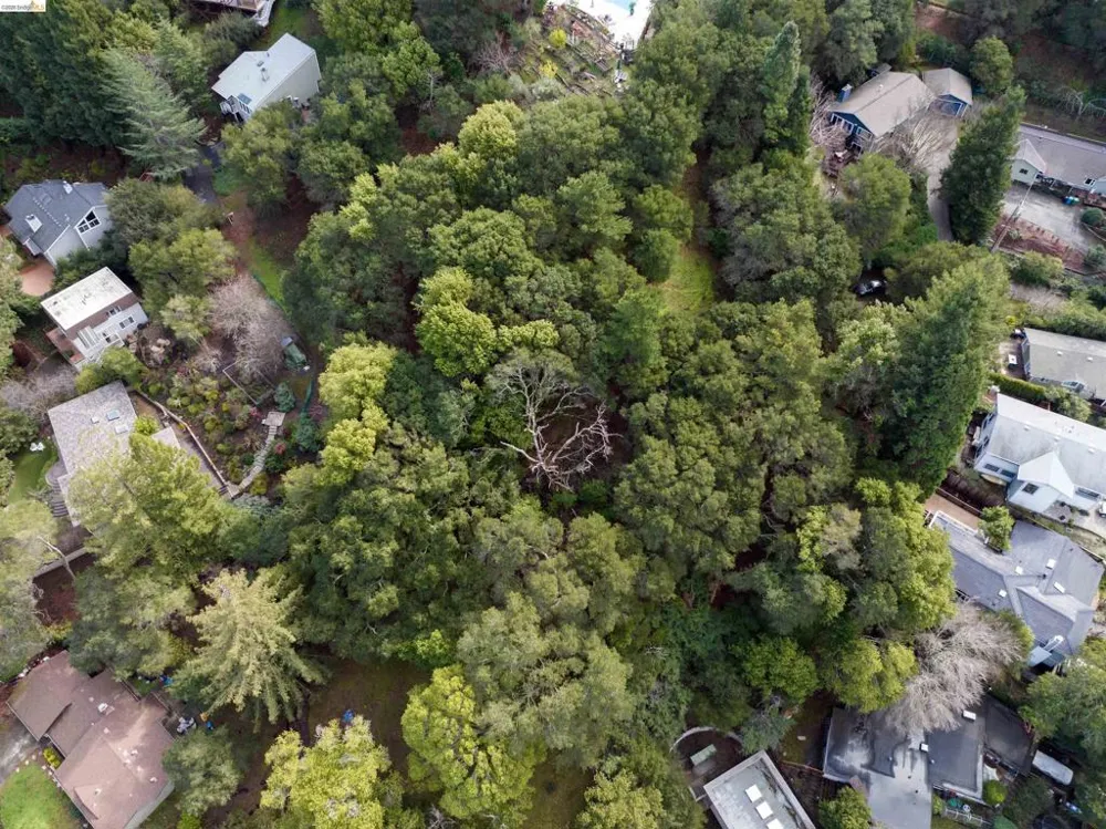 20 Lucille Way Orinda, CA 94563