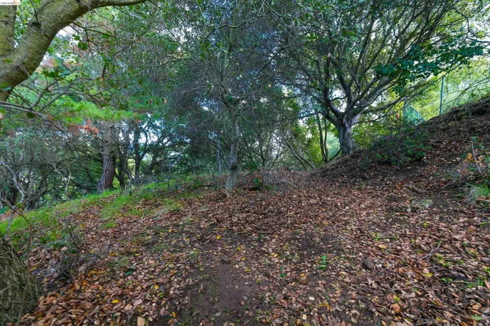 20 Lucille Way Orinda, CA 94563