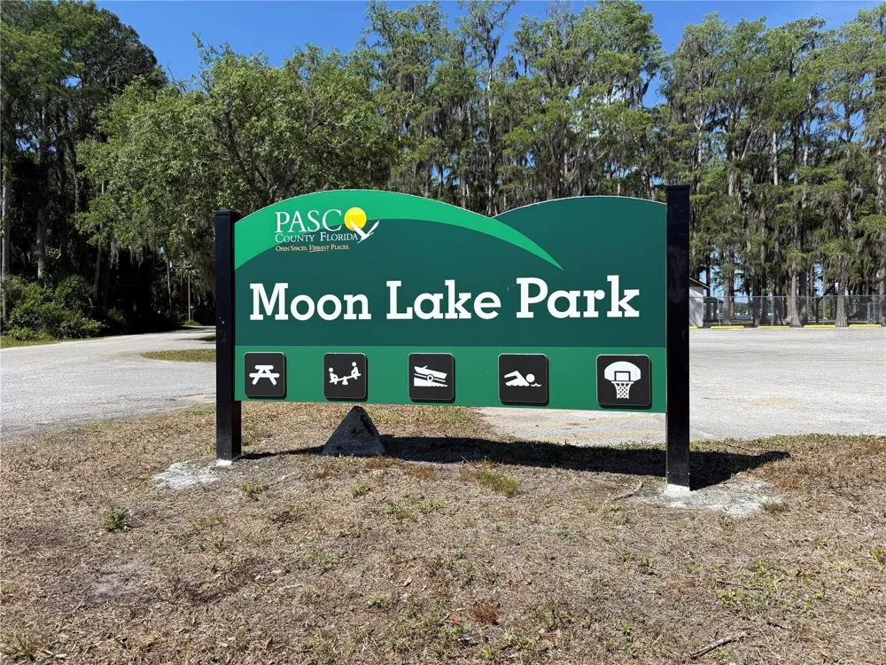 CODEL LOOP New Port Richey, FL 34654