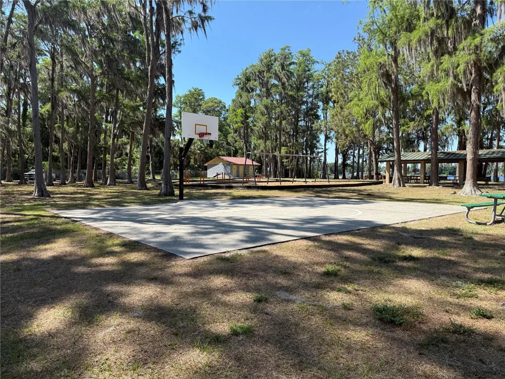CODEL LOOP New Port Richey, FL 34654