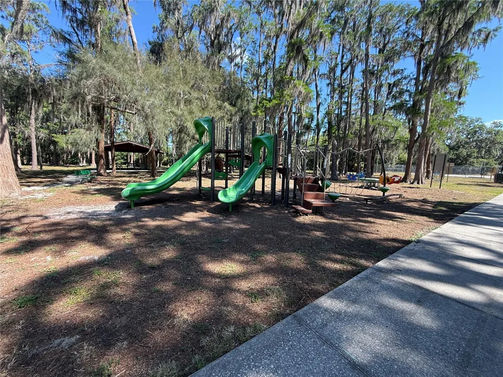 CODEL LOOP New Port Richey, FL 34654