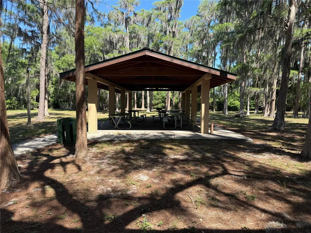 CODEL LOOP New Port Richey, FL 34654