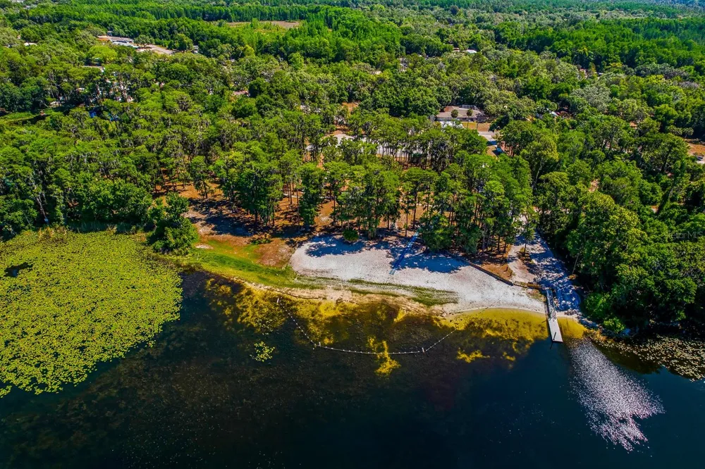 CODEL LOOP New Port Richey, FL 34654