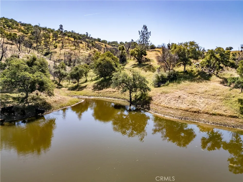 39603 Road 810 Raymond, CA 93653