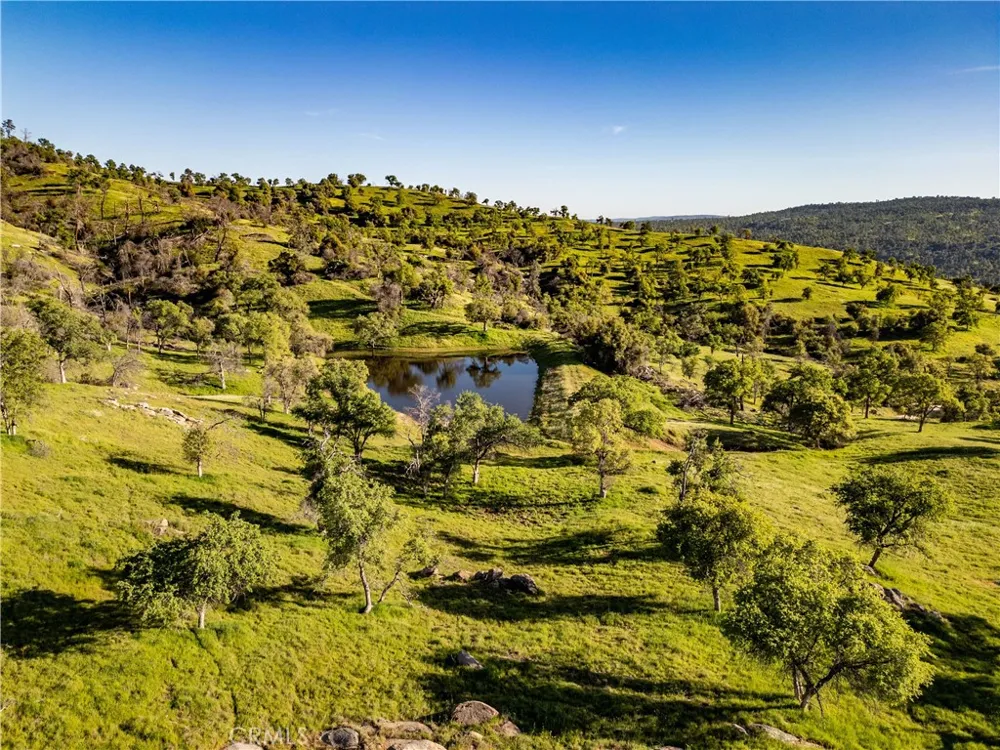 39603 Road 810 Raymond, CA 93653