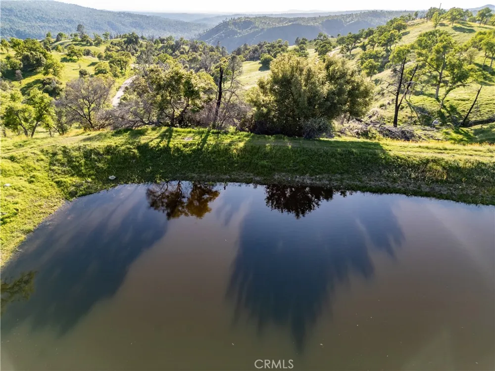 39603 Road 810 Raymond, CA 93653