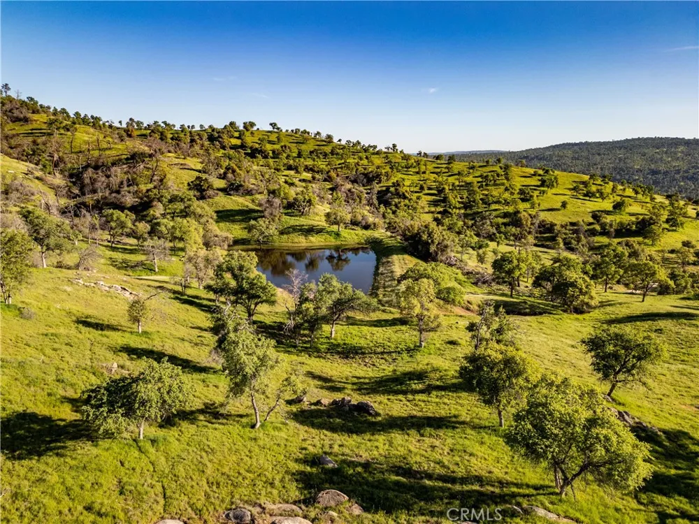 39603 Road 810 Raymond, CA 93653