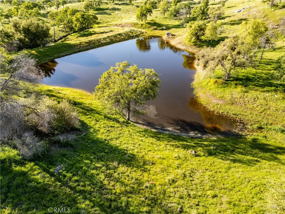 39603 Road 810 Raymond, CA 93653