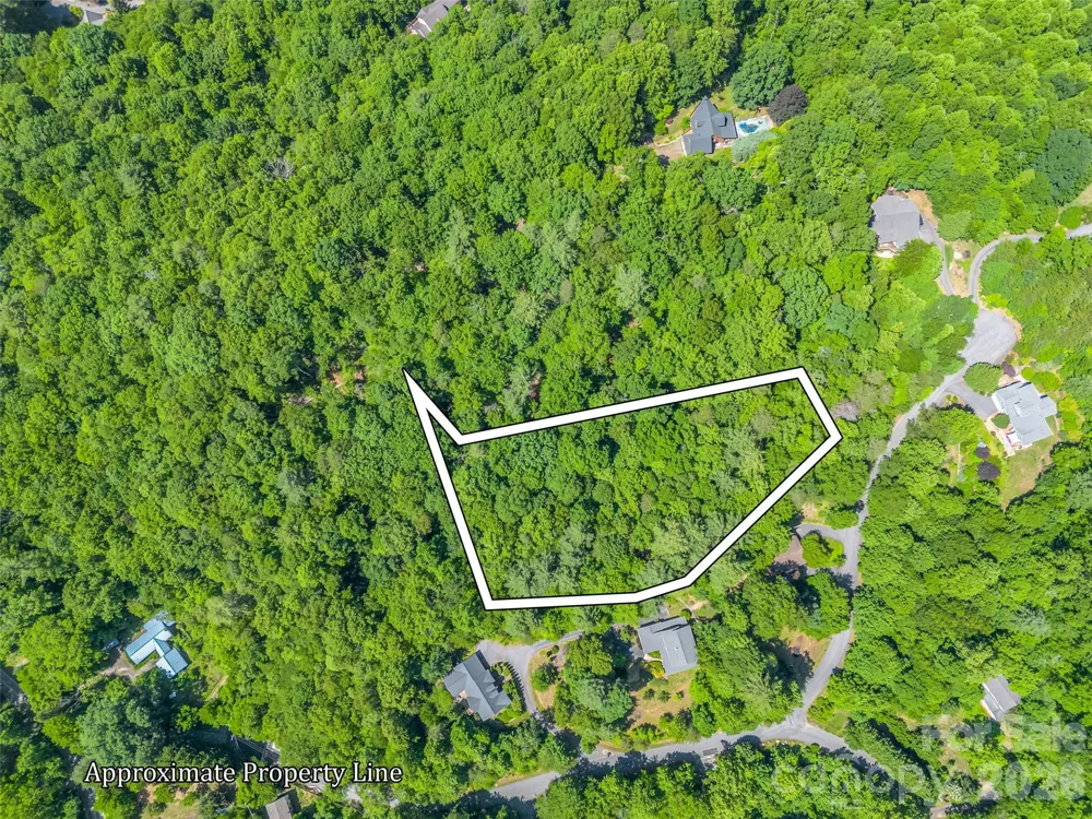 21 Wits End Trail Swannanoa, NC 28778