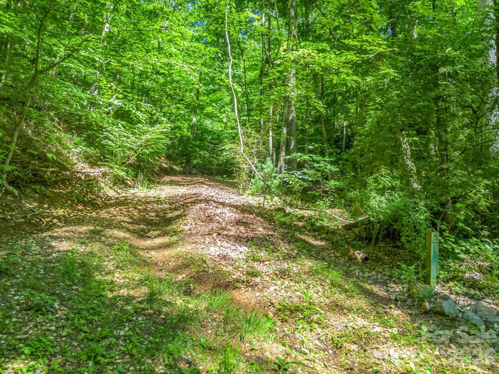21 Wits End Trail Swannanoa, NC 28778