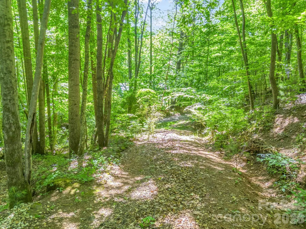 21 Wits End Trail Swannanoa, NC 28778