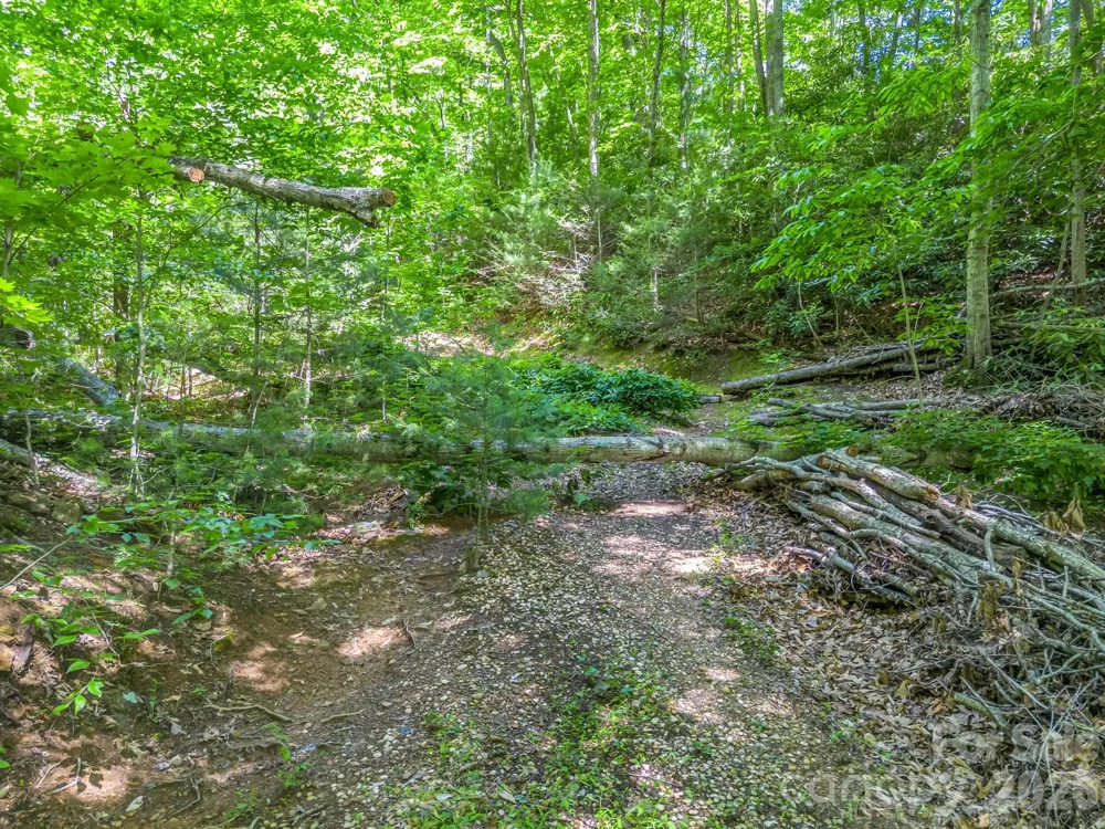 21 Wits End Trail Swannanoa, NC 28778