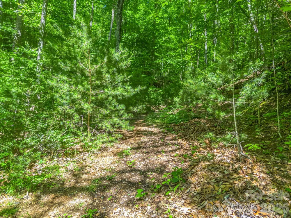 21 Wits End Trail Swannanoa, NC 28778
