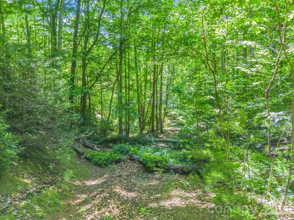 21 Wits End Trail Swannanoa, NC 28778